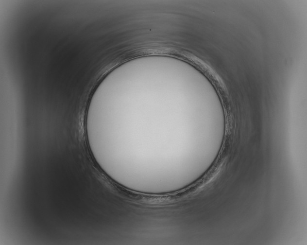 X0000102260889200807250835