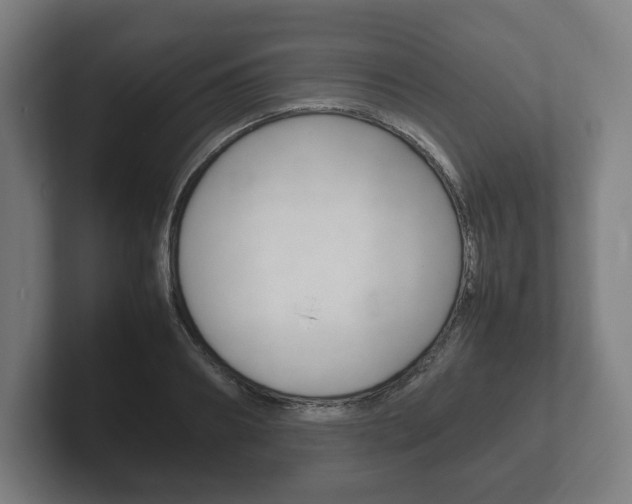 X0000102260890200807250835