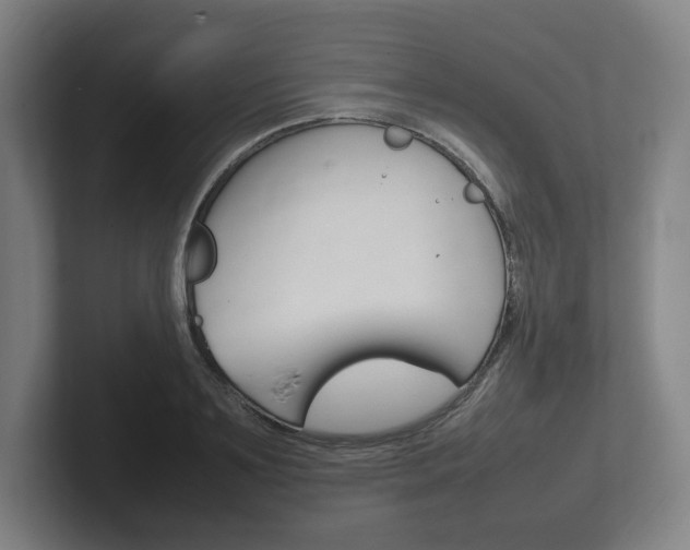 X0000102260891200807250835