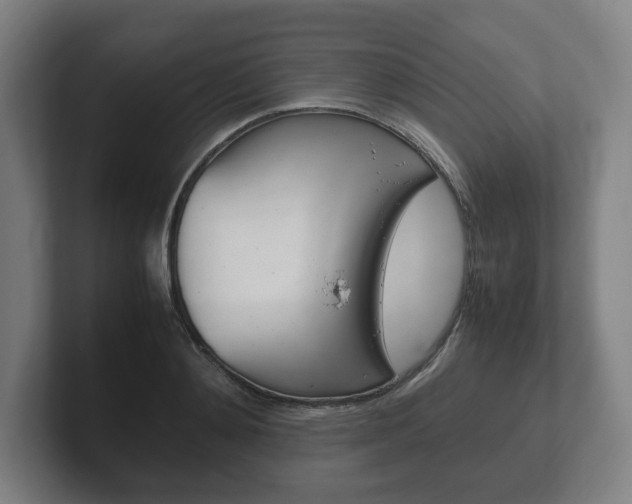 X0000102260892200807250835