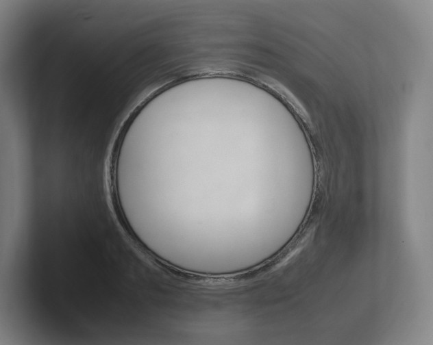 X0000102260893200807250835