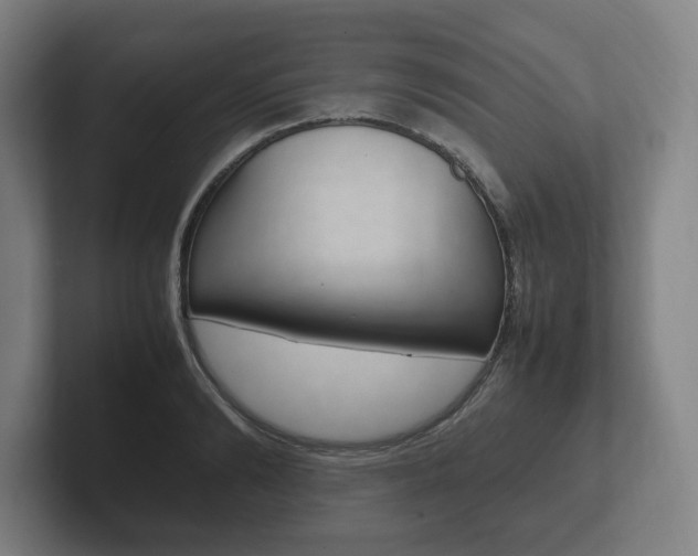 X0000102260894200807250835