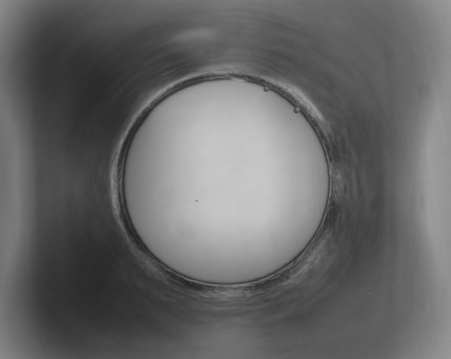 X0000102260895200807250835