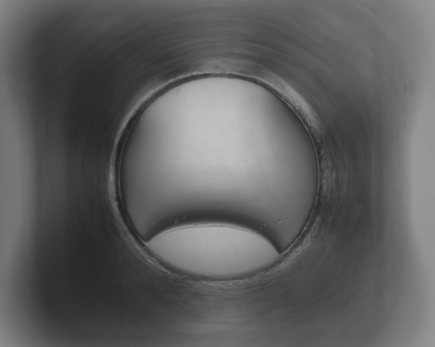 X0000102260896200807250835