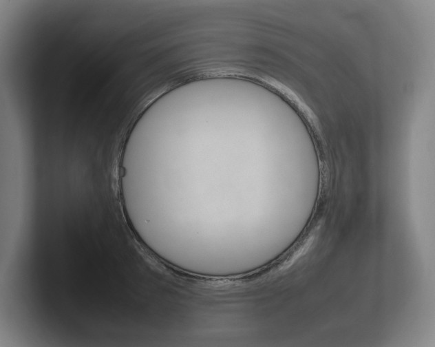 X0000102260897200807250835