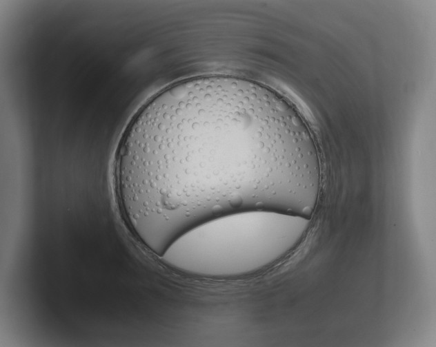 X0000102260899200807250835