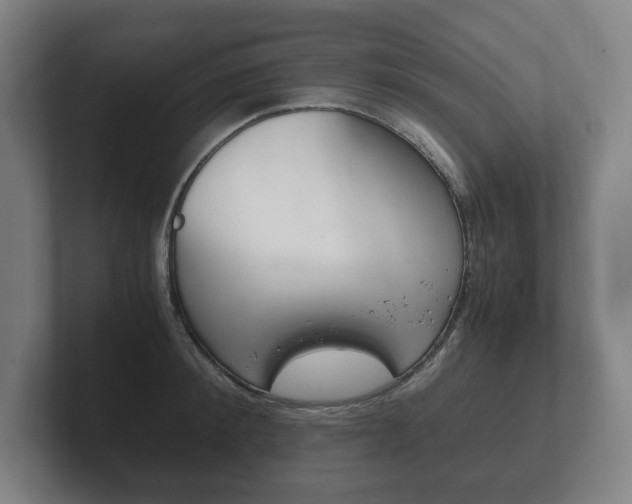X0000102260900200807250835