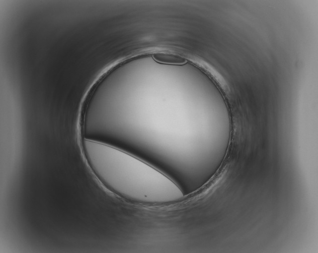 X0000102260902200807250835