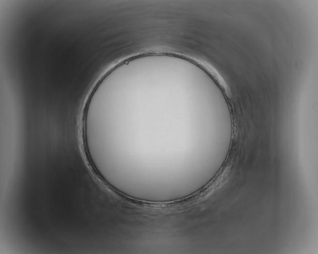 X0000102260903200807250835