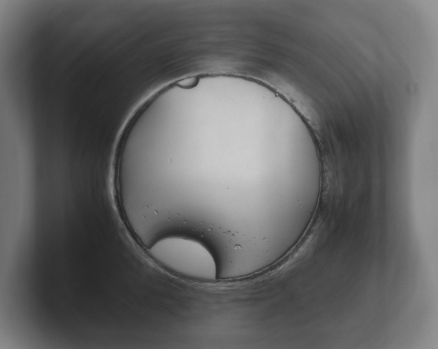 X0000102260904200807250835