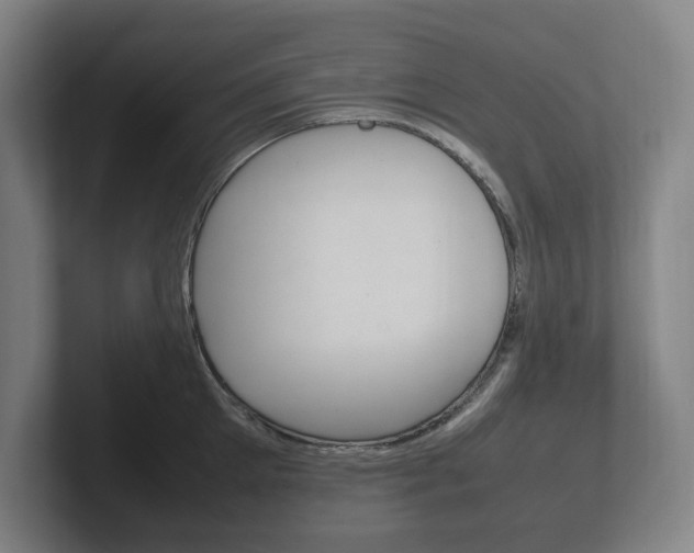 X0000102260905200807250835