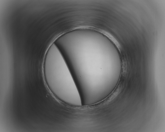 X0000102260906200807250835