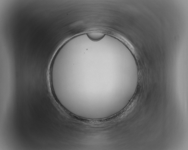 X0000102260907200807250835