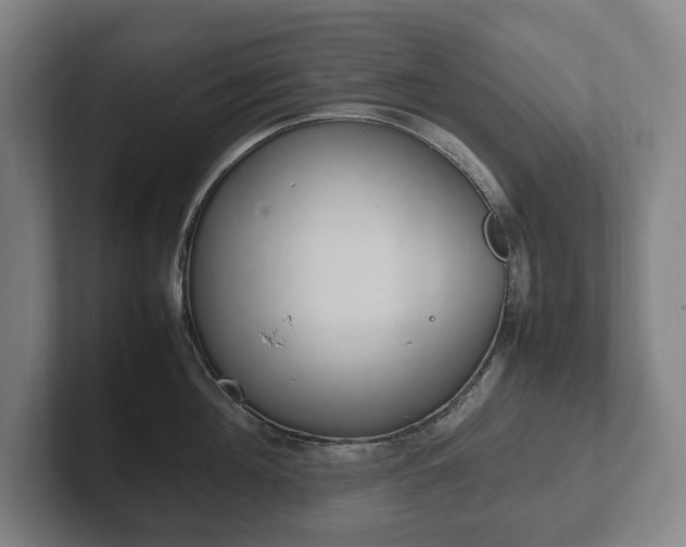X0000102260908200807250835