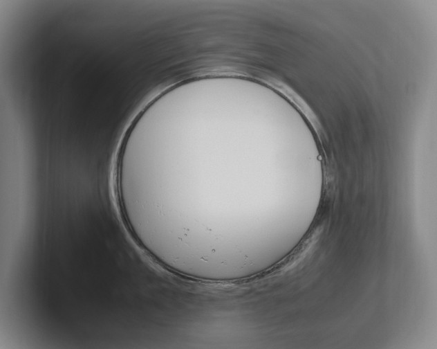 X0000102260909200807250835