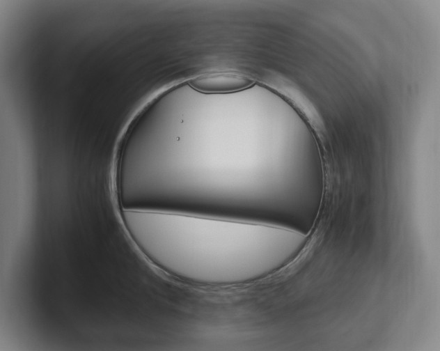 X0000102260910200807250835