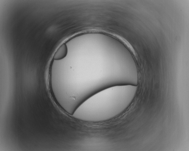X0000102260911200807250835