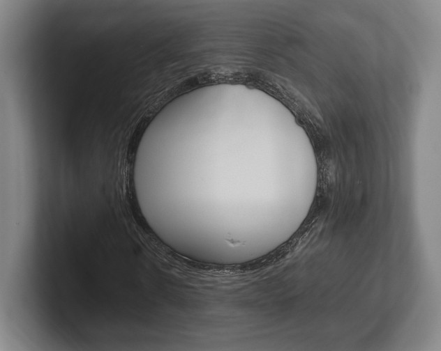 X0000102260914200807250834