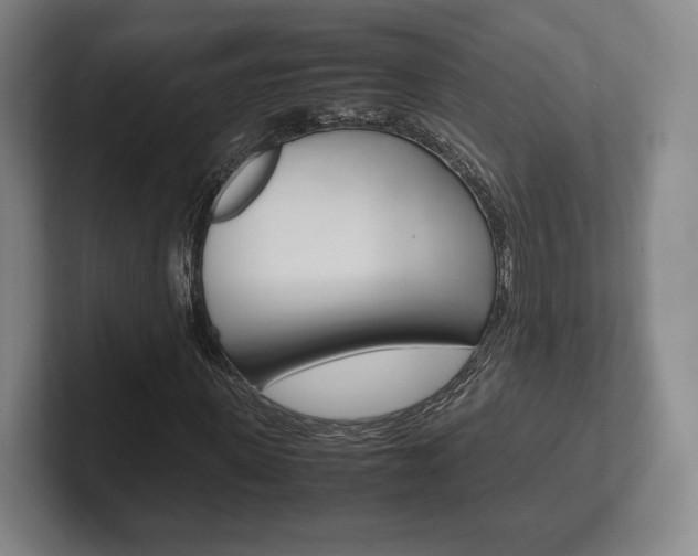 X0000102260915200807250834