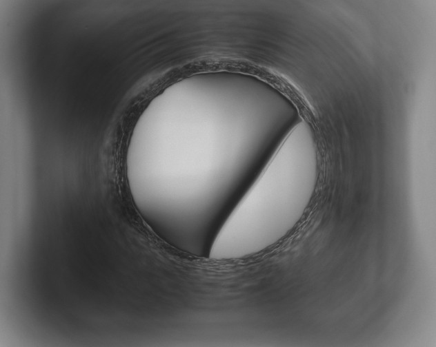 X0000102260919200807250834