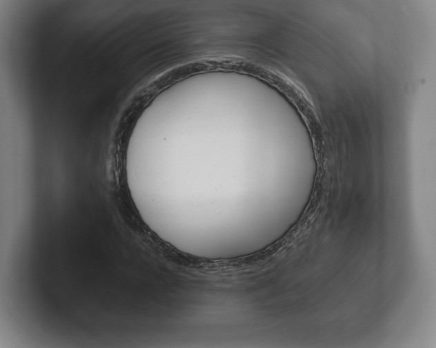 X0000102260920200807250834