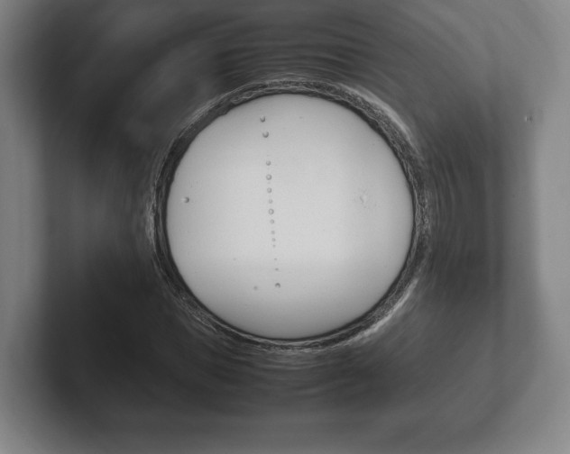 X0000102260921200807250834