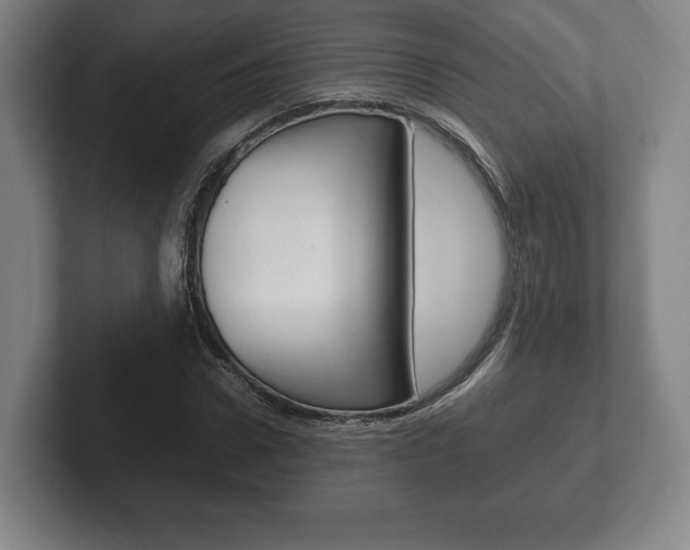 X0000102260922200807250834