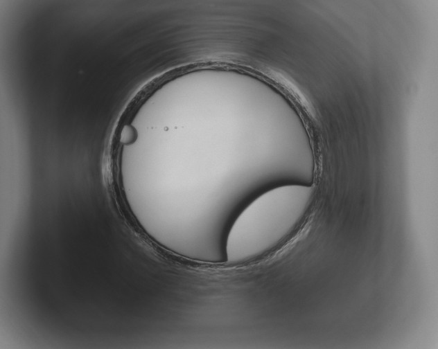 X0000102260924200807250835