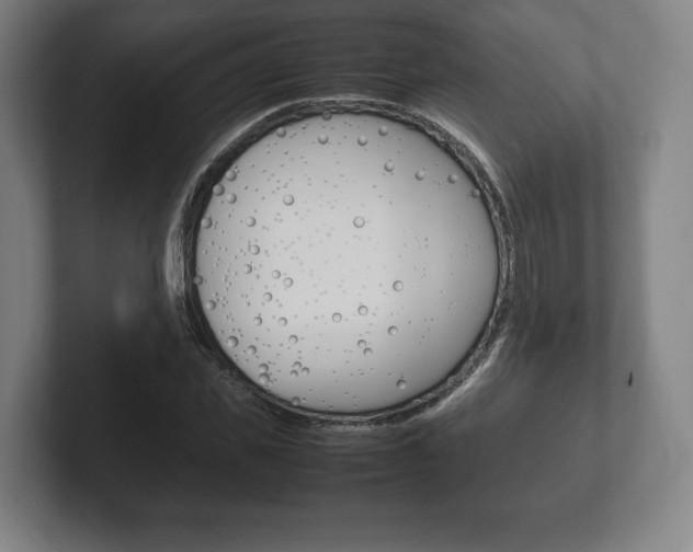X0000102260925200807250835