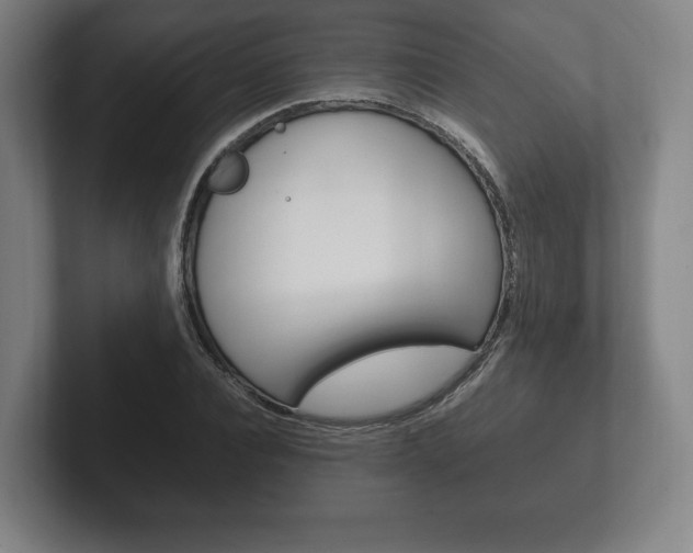 X0000102260928200807250835