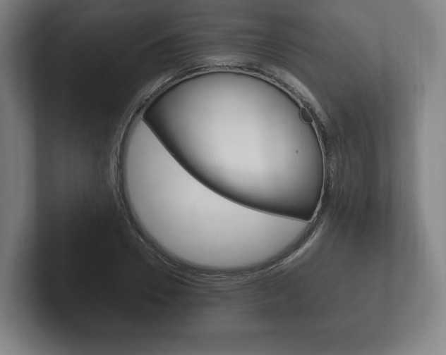 X0000102260930200807250835