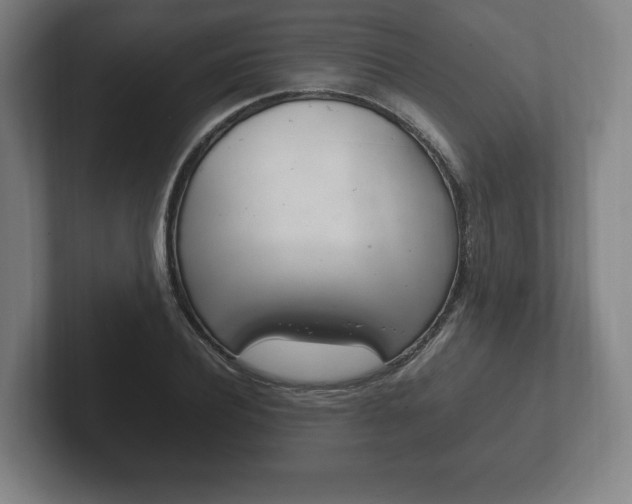 X0000102260932200807250835
