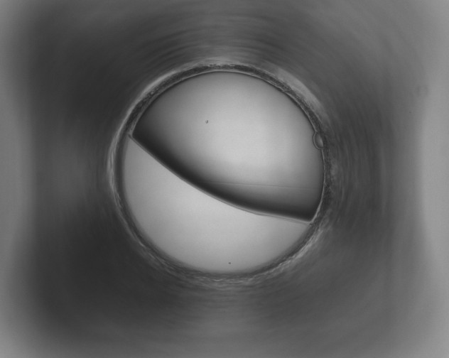 X0000102260934200807250835