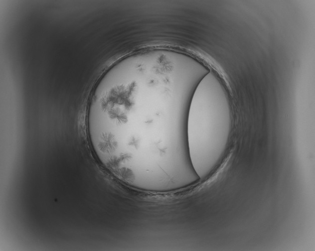 X0000102260937200807250835