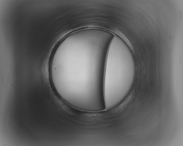 X0000102260939200807250835