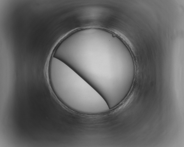 X0000102260941200807250835