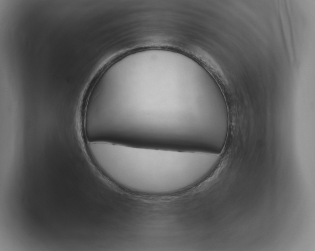 X0000102260942200807250835