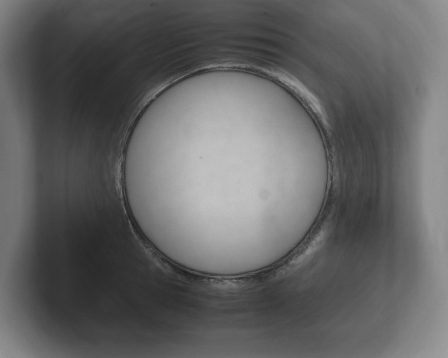 X0000102260945200807250835