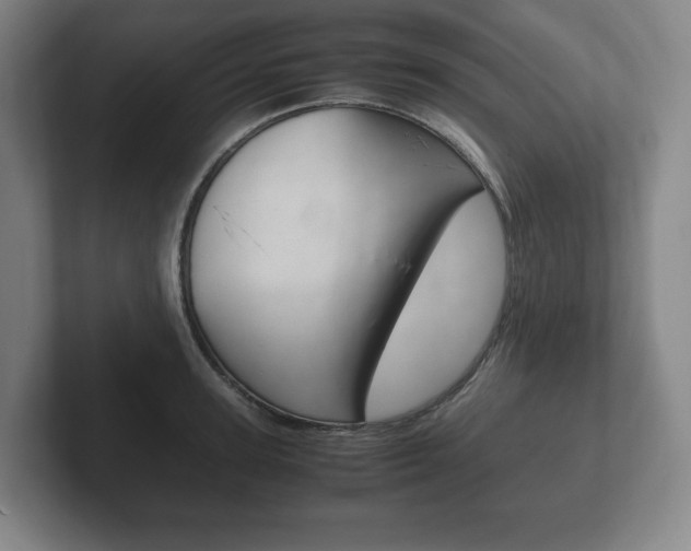 X0000102260947200807250835