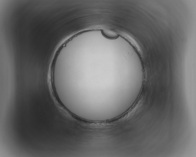 X0000102260952200807250835