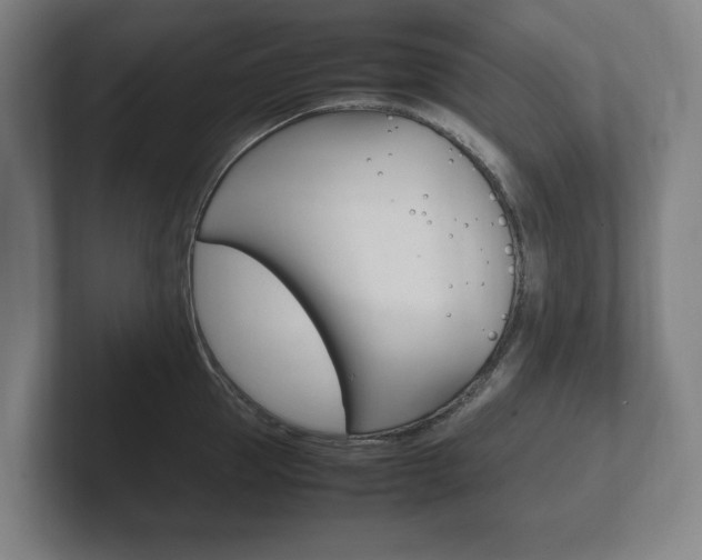 X0000102260953200807250835