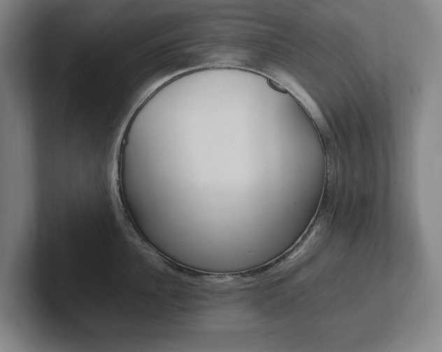 X0000102260956200807250835