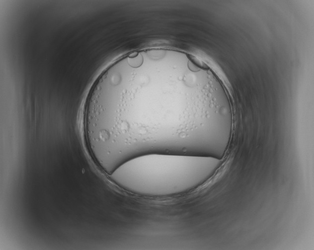 X0000102260957200807250835