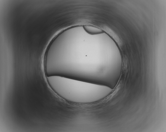 X0000102260958200807250835