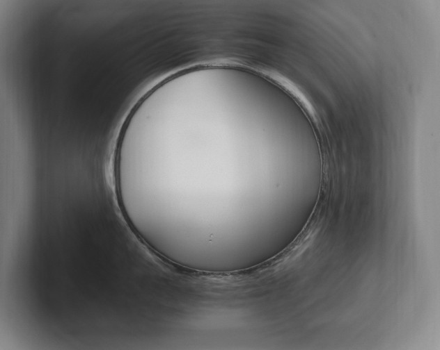 X0000102260959200807250835