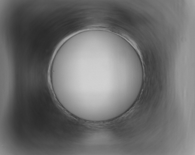 X0000102260960200807250835