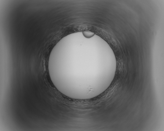X0000102260962200807250834