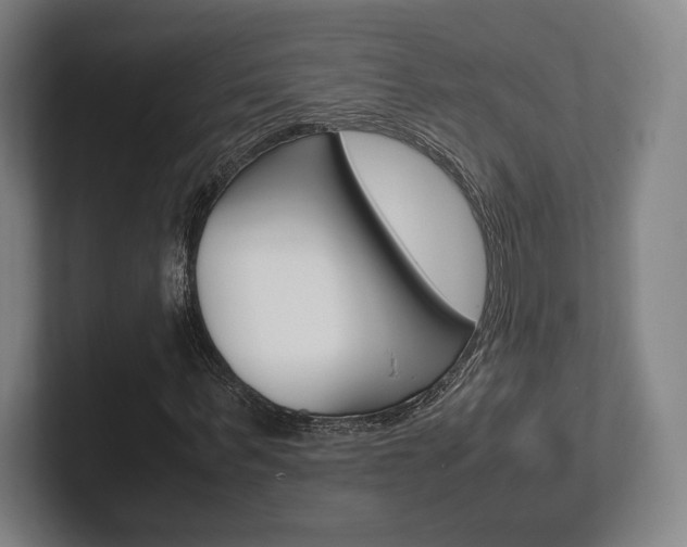X0000102260963200807250834