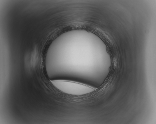X0000102260964200807250834
