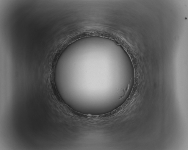 X0000102260965200807250834